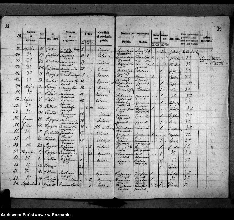 image.from.unit.number "Duplikat urodzonych, zaślubionych, zmarłych"