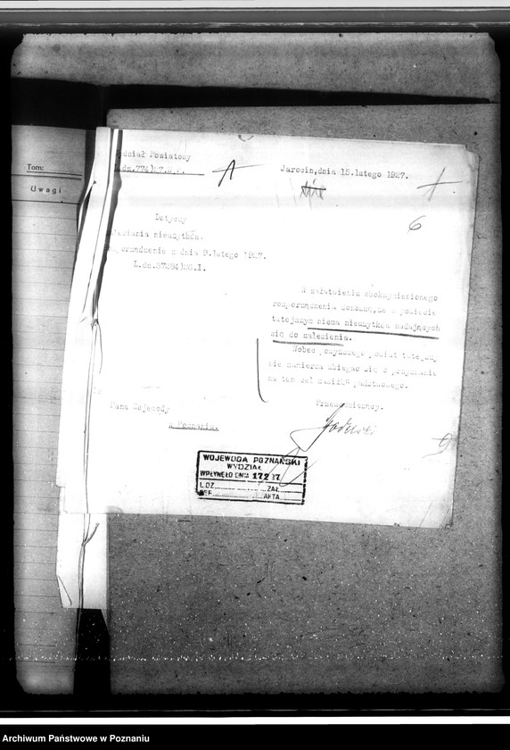 Obraz 11 z jednostki "Zalesienie nieużytków w powiecie jarocińskim"