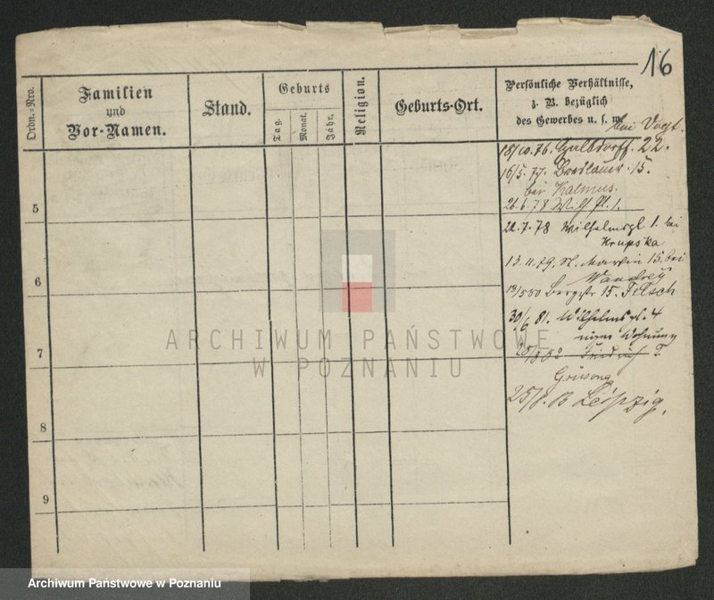 Obraz 18 z jednostki "Gnot - Gogulski"