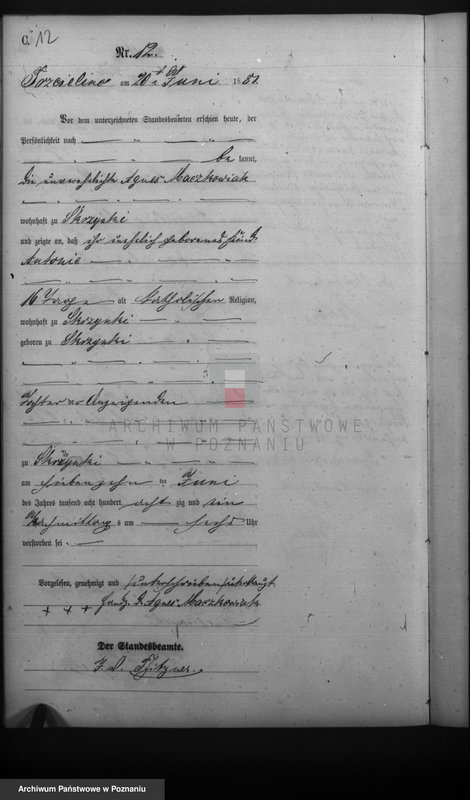 Obraz 14 z jednostki "Księga zgonów"