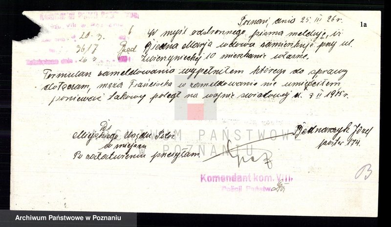 Obraz 4 z jednostki "Biały - Biedowicz"