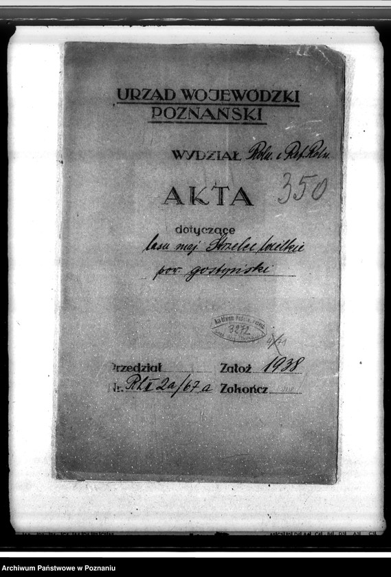 Obraz 4 z jednostki "Las majątku Strzelce-Wielkie w powiecie gostyńskim"