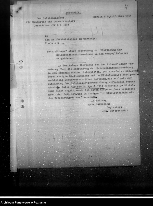 Obraz 8 z jednostki "Reichspachtschutzordnung"