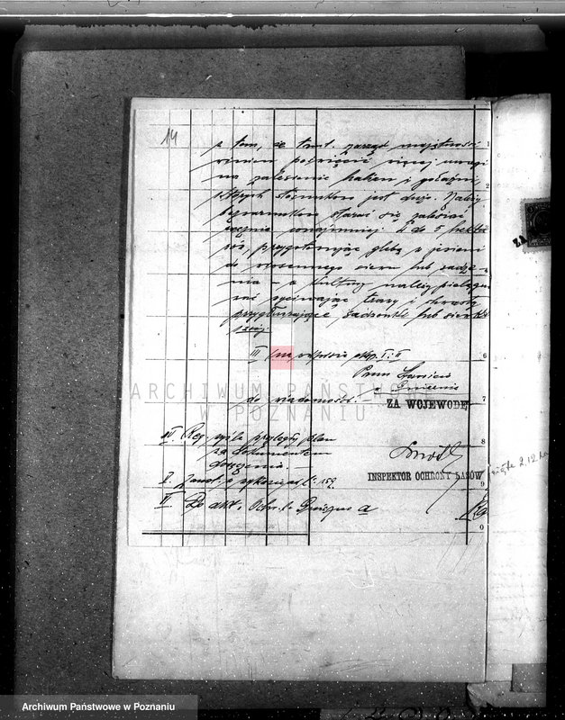 Obraz 17 z jednostki "Nadzór nad gospodarką w lasach majętności Modliszewo powiecie gnieźnieńskim"