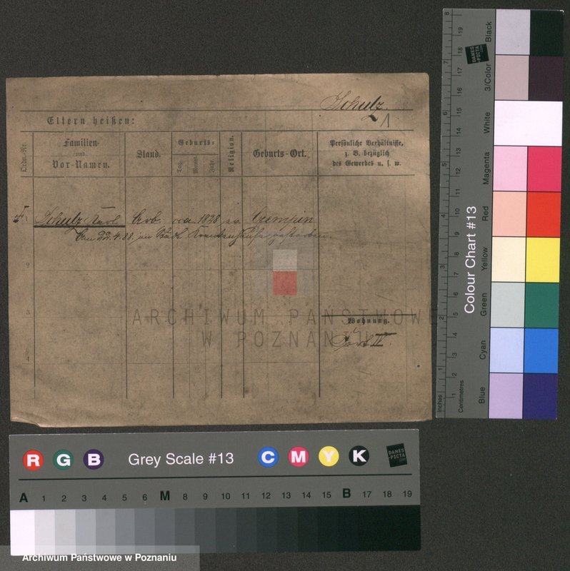 Obraz 5 z jednostki "Szulc (samotni mężczyźni od Karol)"