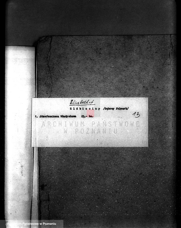 Obraz 17 z jednostki "Wykaz lasów powiatu wolsztyńskiego według stanu z dnia 1 I 1937 r."