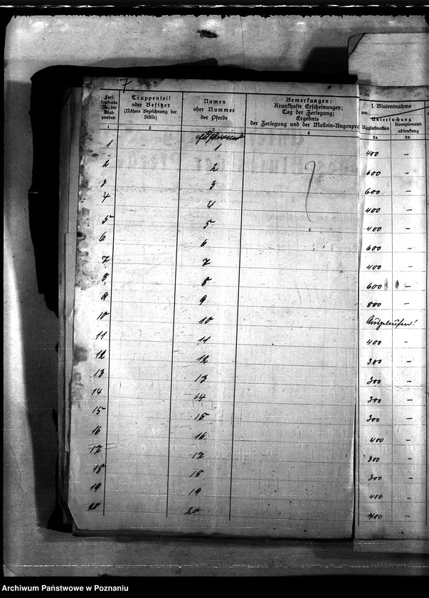 Obraz 11 z jednostki "Nosacizna - Grudziądz"
