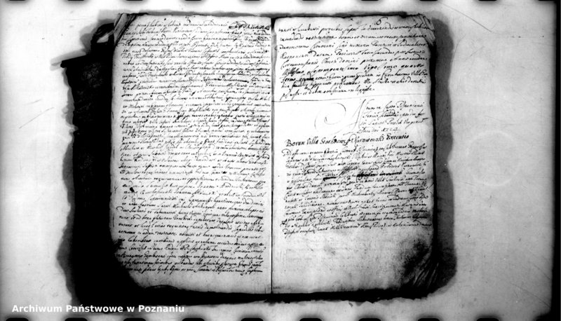 Obraz 8 z jednostki "Relationes [protocollon]"