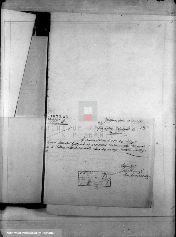 Obraz 16 z jednostki "Administracja miasta Rydzyny"