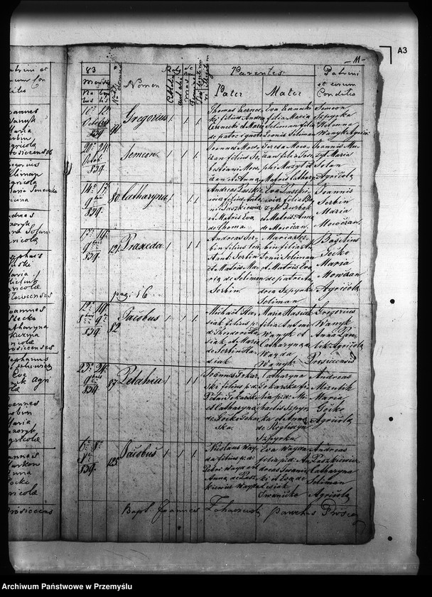 Obraz 15 z jednostki "[Kopie ksiąg metrykalnych parafii Prusiek z filią Sanoczek (dekanat Sanok)]"