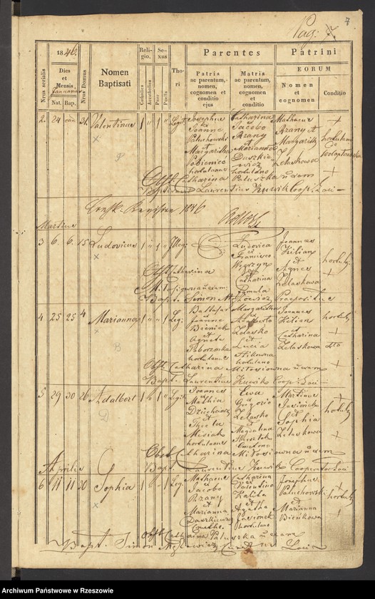 image.from.unit.number "Księga urodzeń dla miejscowości Wola Pławska"