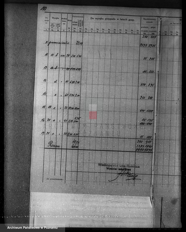 Obraz 16 z jednostki "Plan urządzenia gospodarstwa leśnego dla lasu majętności Lizie powiat nowotomyski"