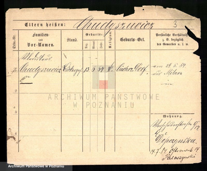 Obraz 5 z jednostki "Chudysiewicz - Chyczewski"