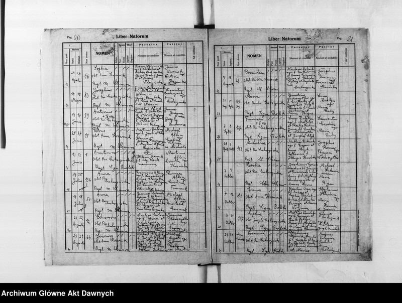 image.from.unit.number "Parafia: Skałat. Dekanat: Skałat. Księga metrykalna urodzeń dla wsi Panasówka*."