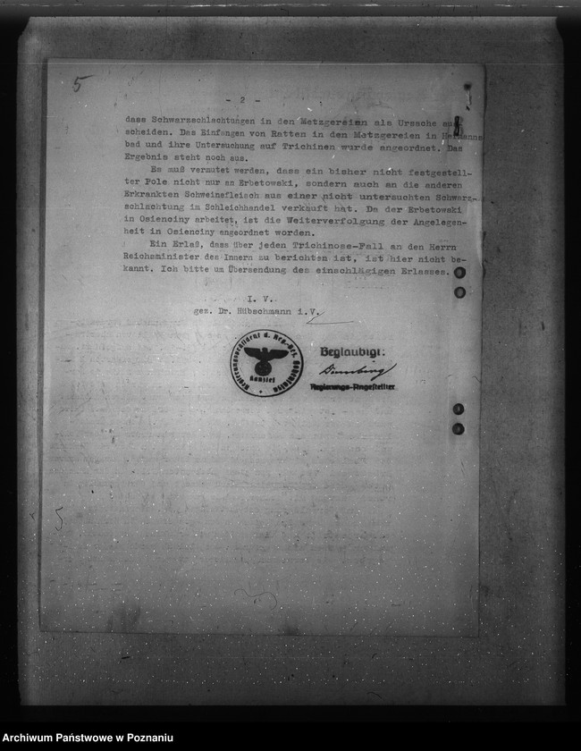 Obraz 9 z jednostki "Trichinose, Typhus"