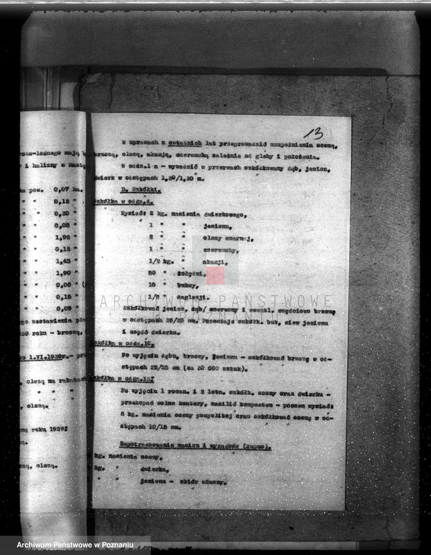 Obraz 17 z jednostki "Majętność leśna Bronisław powiat Środa"