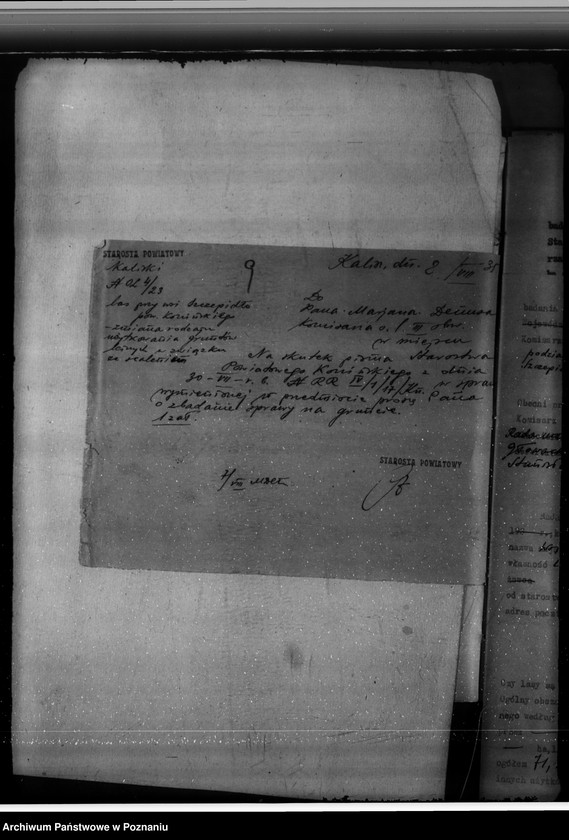 Obraz 14 z jednostki "Gmina Brzeźno powiat koniński /nadzór nad gospodarką leśną/"