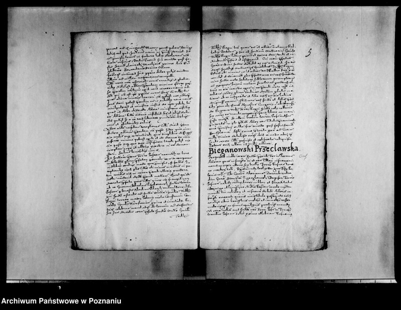 Obraz 8 z jednostki "Decreta [inducta]"