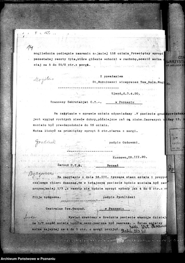 Obraz 18 z jednostki "Ziemiopłody - generalia"