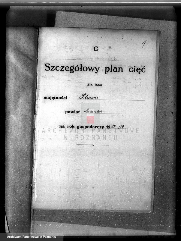 Obraz 5 z jednostki "Nadzór nad gospodarką leśną majątku Sławno powiat czarnkowskim"