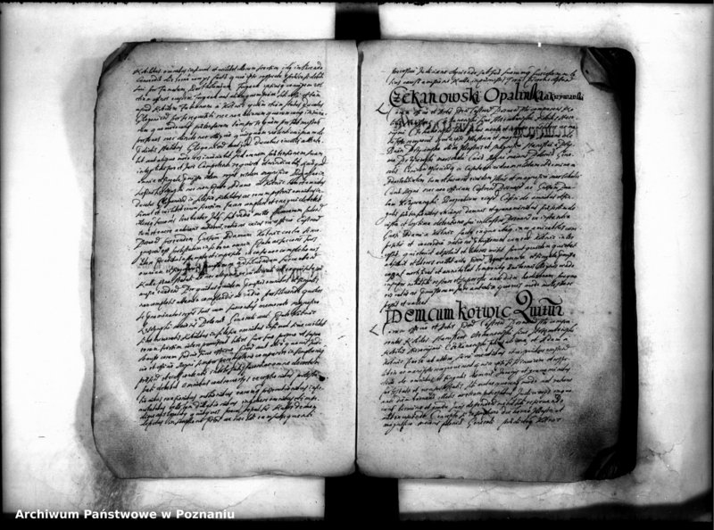 Obraz 19 z jednostki "Inscriptiones [inducta]"