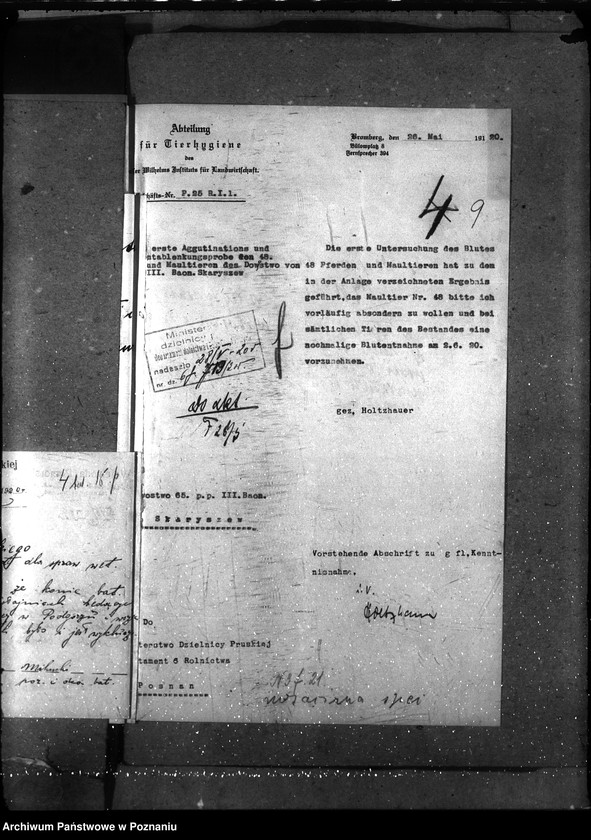 Obraz 12 z jednostki "Sprawy szczegółowo-Nosacizna"