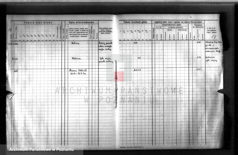 image.from.unit.number "Dodatkowy plan urządzenia gospodarstwa leśnego dla lasu ordynacji Obrzycko powiat szamotulski 1937-1938"