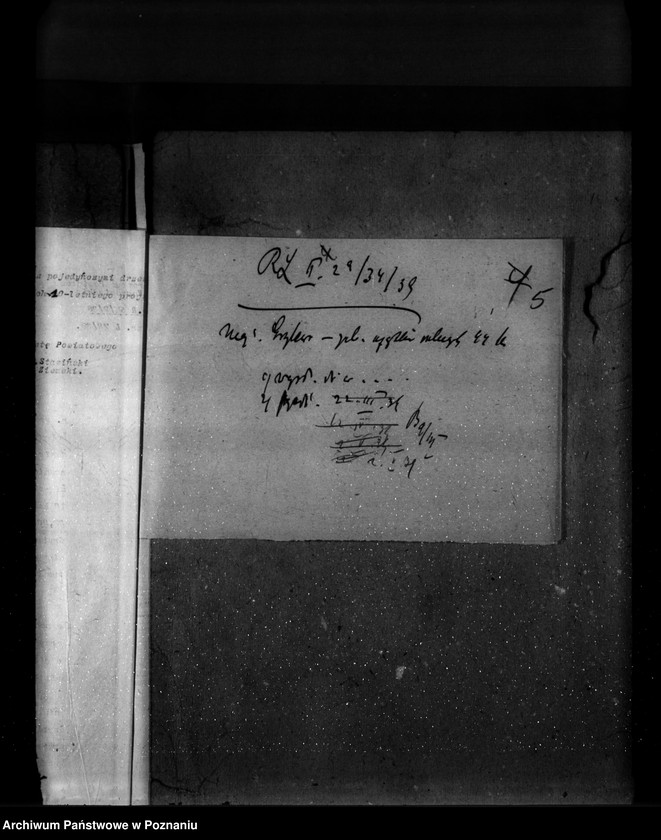 image.from.unit.number "Las majętności leśna Grylewo powiat wągrowiecki"
