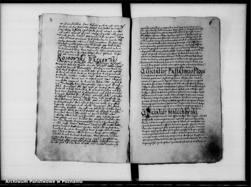 Obraz 9 z jednostki "Inscriptiones, relationes [inducta]"