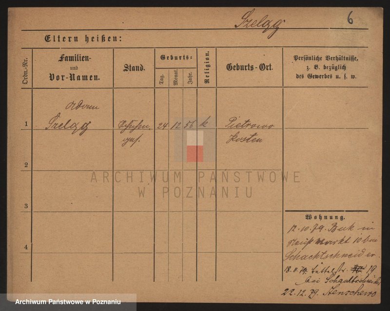 Obraz 15 z jednostki "Szeląg - Szemraj"