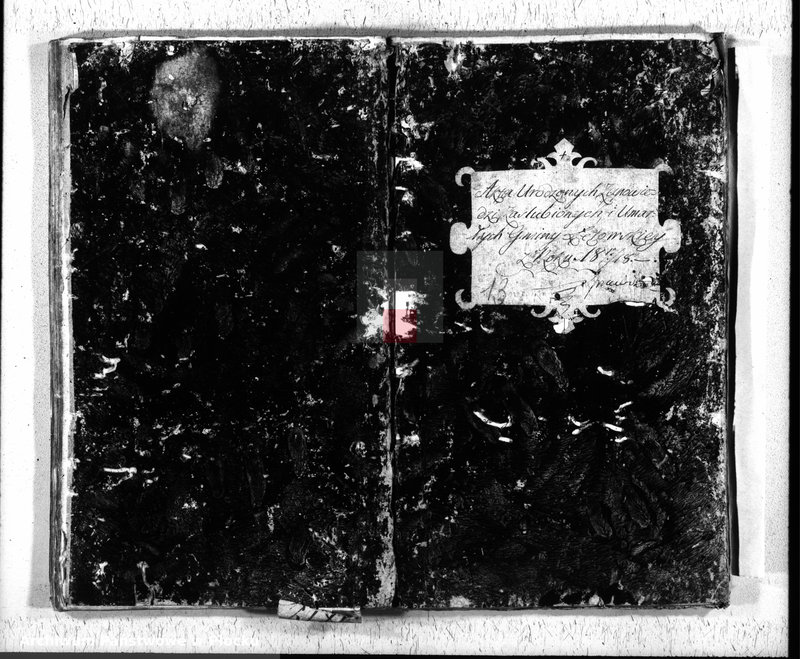 Obraz 2 z jednostki "Akta urodzeń, małżeństw i zgonów"