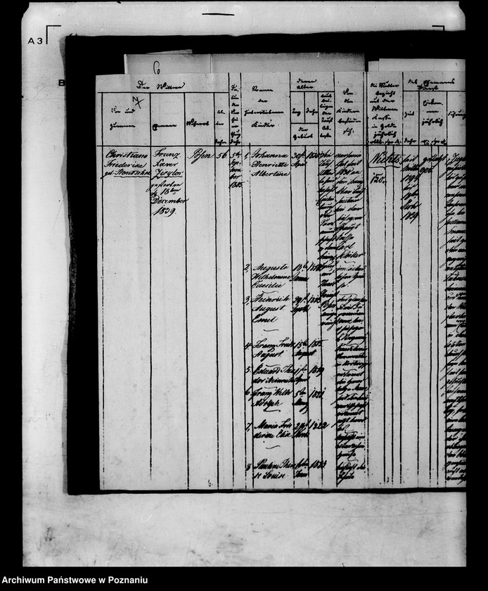 Obraz 11 z jednostki "Die für die Witwe des verstorbenen Regierungssekrätars Ziegler nachgesuchte Pension oder fortdauernde Unterstützung."