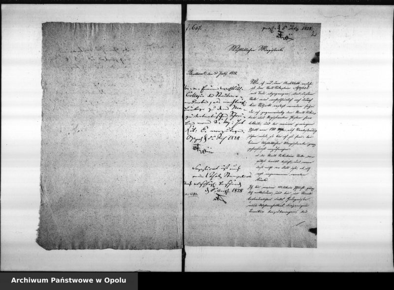 Obraz 6 z jednostki "Acta des Magistrats zu Oppeln betreffend die Besetzung des vacanten Secretair und Registrators Postens. de anno 1828"