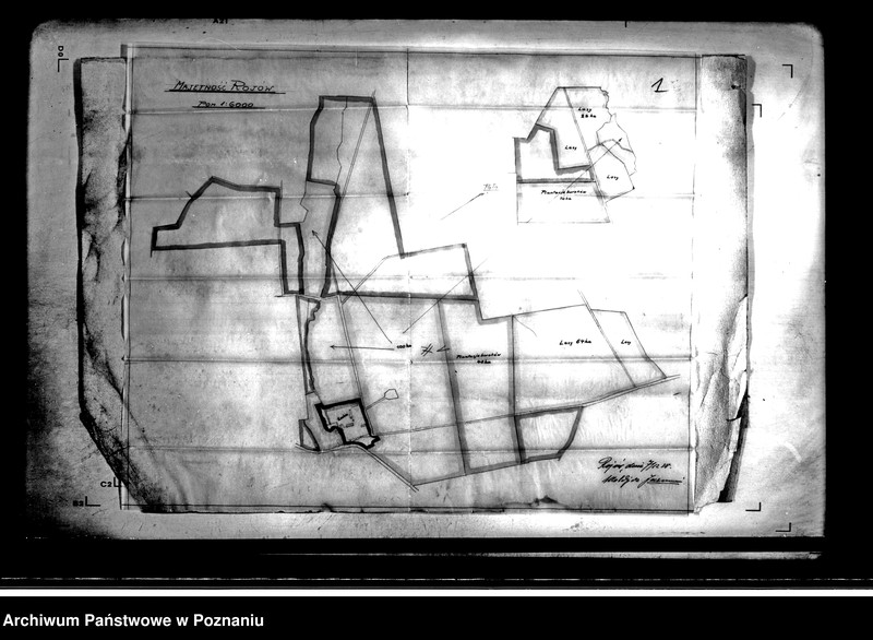 Obraz 5 z jednostki "Wyłączenie z art. 5 ustawy o wykonaniu reformy rolnej majątku Rojów powiatu ostrowskiego"