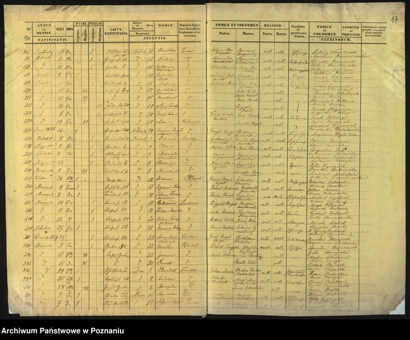 Obraz 11 z jednostki "Księga urodzin"