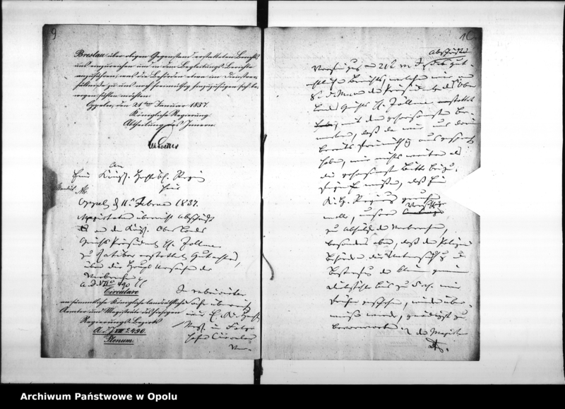 Obraz 10 z jednostki "Acta des Magistrats zu Oppeln betreffend den an das Königliche Ober - Landes - Gericht zu Ratibor erstatteten gutachtlichen Bericht über die Haupt - Ursachen der im Jahre 1835 verübten Verbrechen pp."