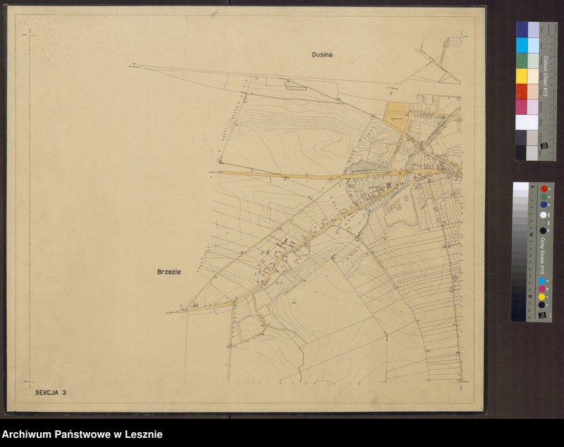 Obraz 3 z jednostki "Plan miasta Gostynia i części gromad sąsiednich"