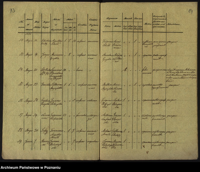 Obraz 10 z jednostki "Księga zgonów"