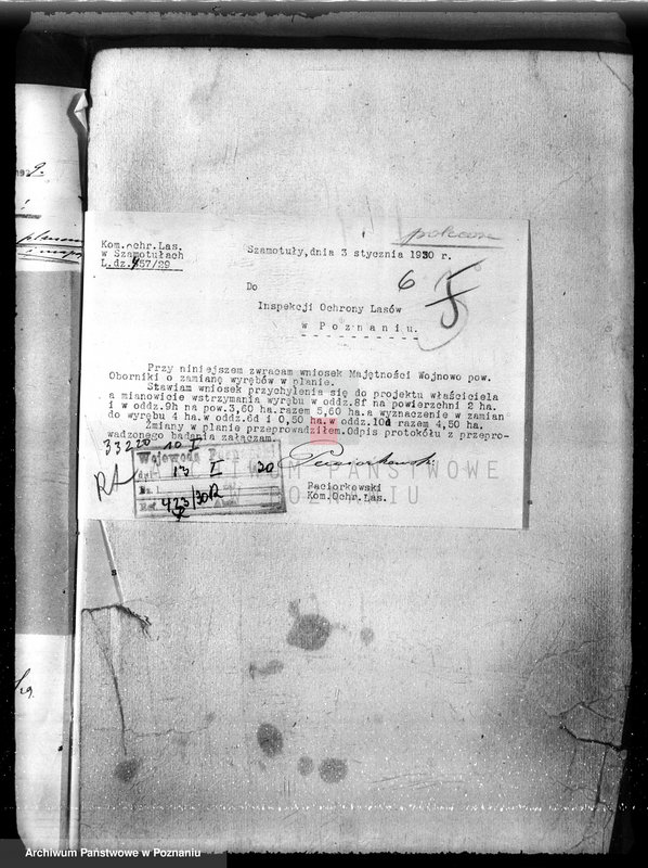 Obraz 10 z jednostki "Nadzór nad gospodarką w lasach majętności Wojnowo powiat obornicki"