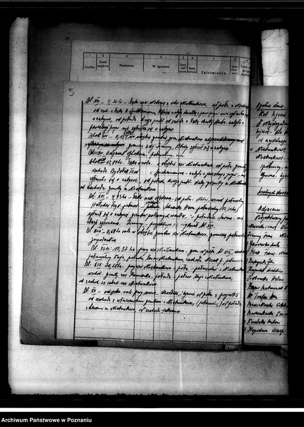 Obraz 8 z jednostki "Nietuszkowo, parcelacja majątku"