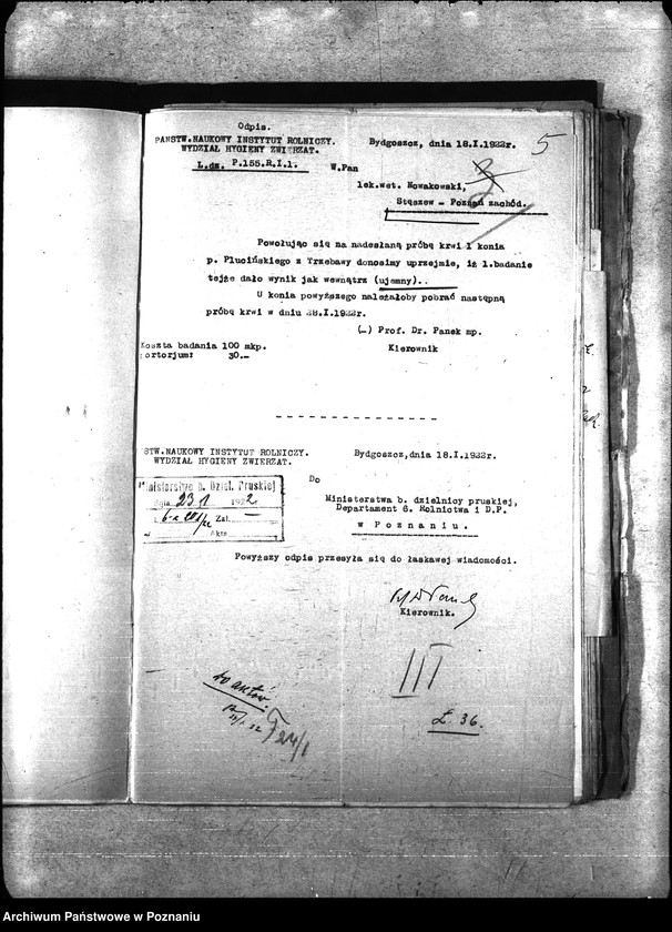 Obraz 9 z jednostki "Nosacizna - Poznań-Zachód"