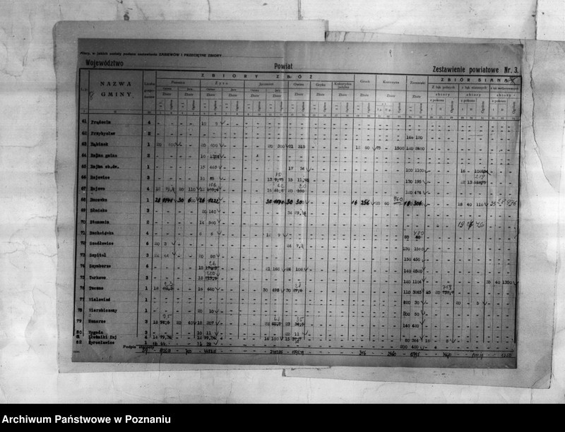 Obraz 9 z jednostki "/Statystyka produkcji rolnej - zestawienie powiatowe - Inowrocław/"