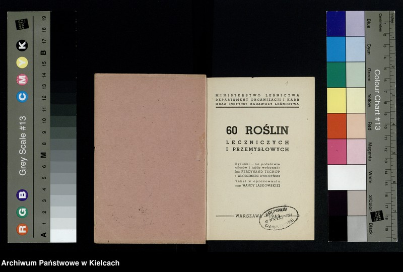 Obraz 2 z kolekcji "Rośliny lecznicze"