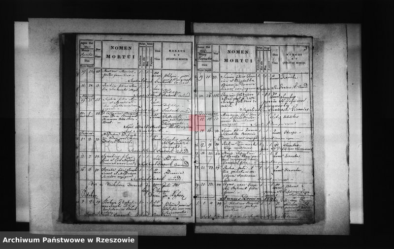 image.from.unit.number "Księga zgonów - Borek Stary"