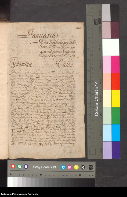 Obraz 4 z jednostki "Acta consularia officii consularis civitatis Posnaniae."