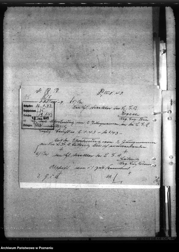 Obraz 19 z jednostki "Zusammenarbeit von Schule und Hitlerjugend. Lehrerbildungsanstalten. Verschulung aus dem Landjahr"