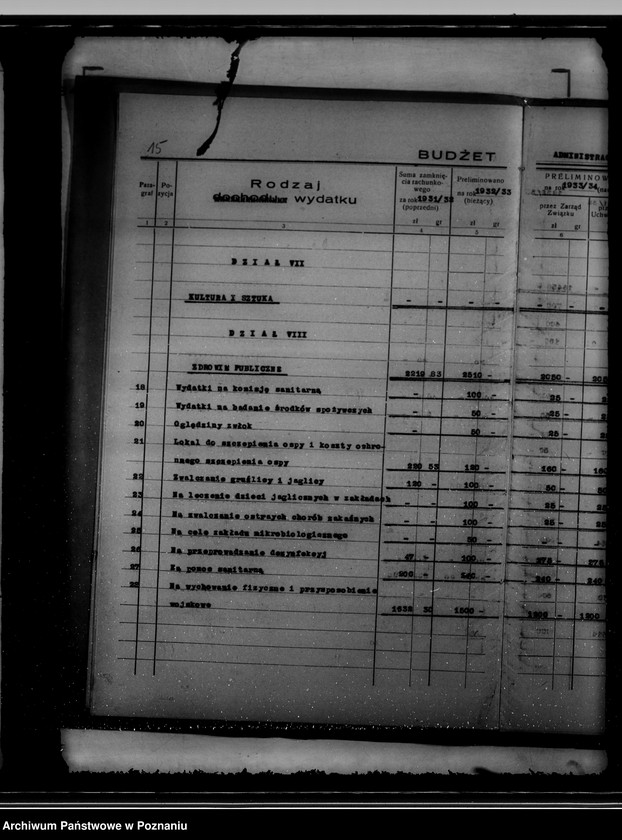 Obraz 19 z jednostki "Budżet na rok 1933/34 miasta Kcyni"