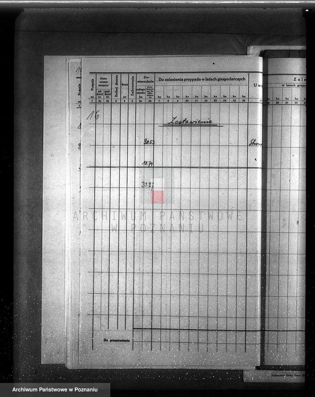Obraz 20 z jednostki "Dodatkowy plan urządzenia gospodarstwa leśnego dla lasu majętności Grzuszyn powiat szamotulski"