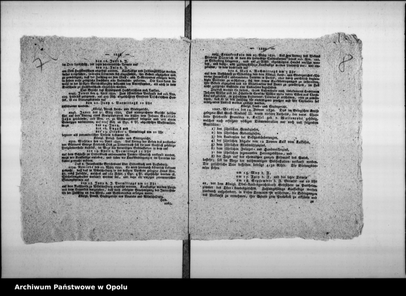 Obraz 11 z jednostki "Acta des Magistrats zu Oppeln von Verpachtung der Stadt Mauthe Vol. V de anno 1830 bis Ende Juny 1839"