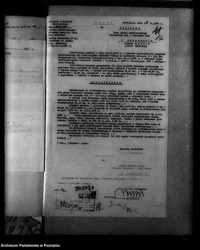 Obraz 20 z jednostki "Nadzór nad gospodarką leśną majętności Mokronos powiat krotoszyński"